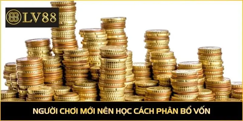 Người chơi mới nên học cách phân bổ vốn